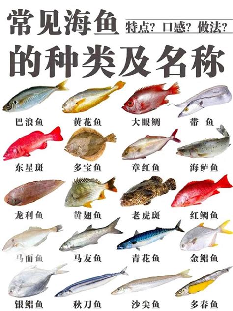 魚的含義